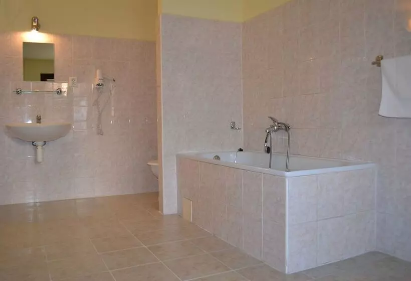 Fotos del hotel U Dvou Zlatych Klicu:  21