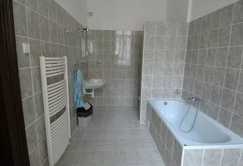 Fotos del hotel U Dvou Zlatych Klicu:  13