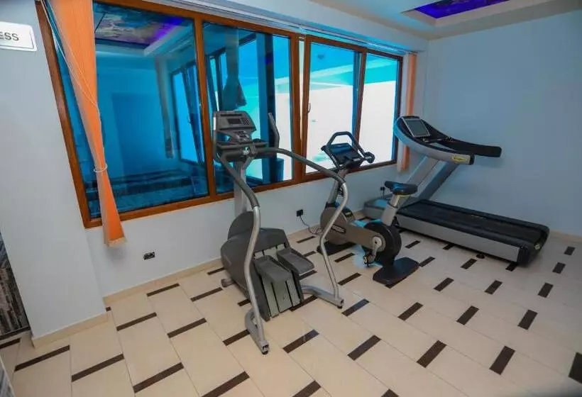 Fotos del hotel Vivas:  4