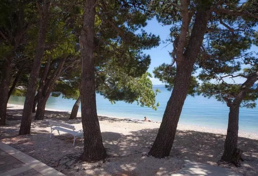 Fotos del hotel Bluesun  Alga:  24