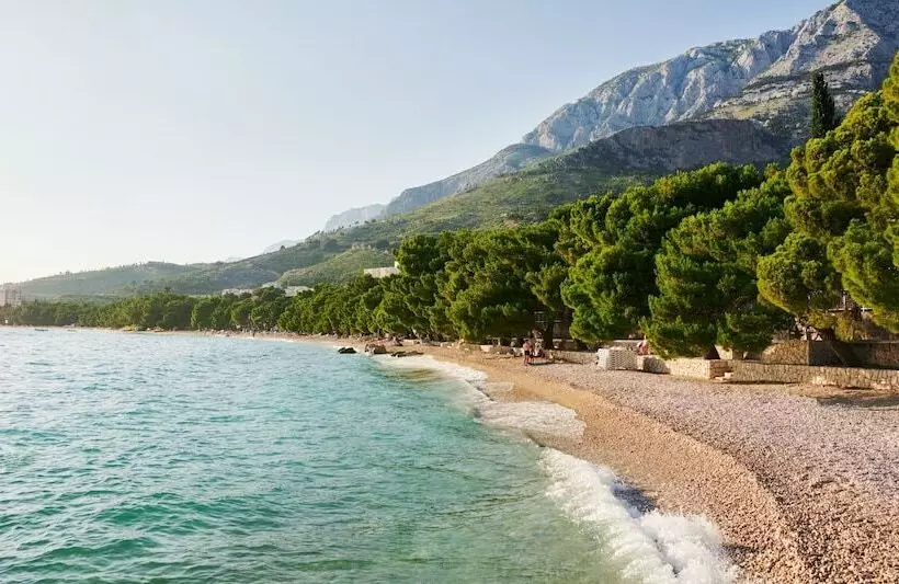 Fotos del hotel Bluesun  Alga:  16