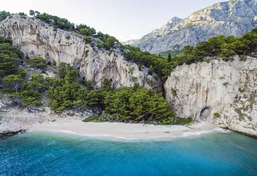 Fotos del hotel Bluesun  Alga:  6