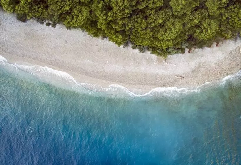 Fotos del hotel Bluesun  Alga:  19