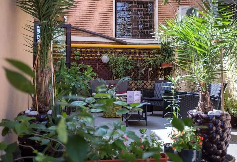 Fotos del hotel Siqua:  9