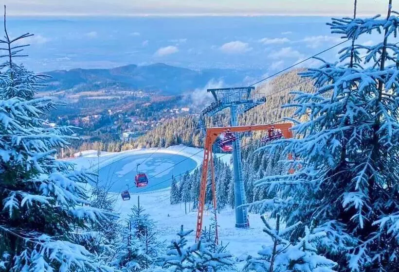 Fotos del hotel Piatra Mare:  11