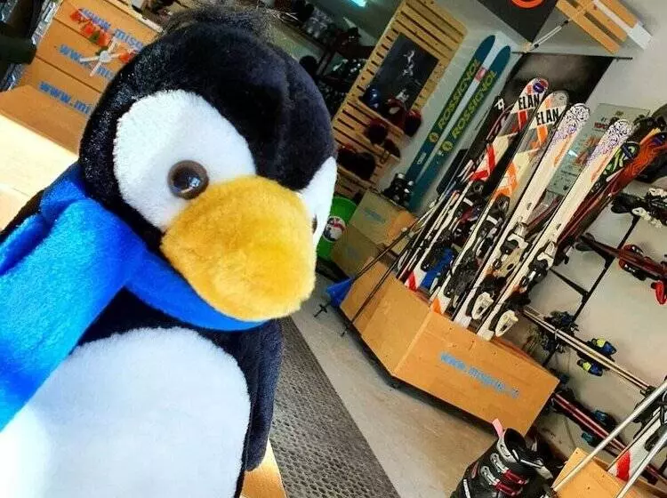 Fotos del hotel Piatra Mare:  10