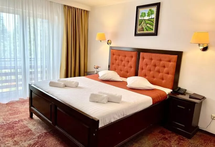 Fotos del hotel Piatra Mare:  22