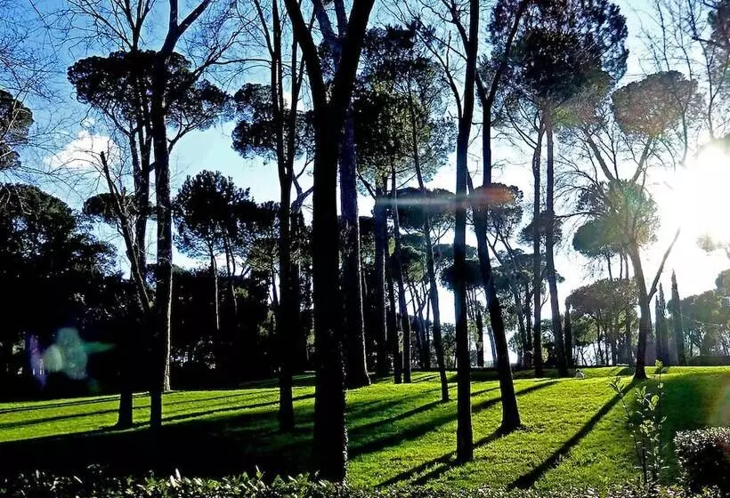 Fotos del hotel Romanico Palace:  24