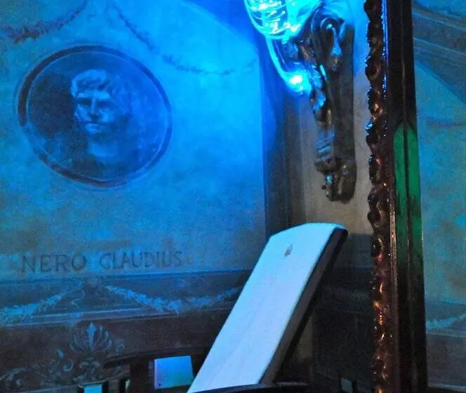 Fotos del hotel Romanico Palace:  7