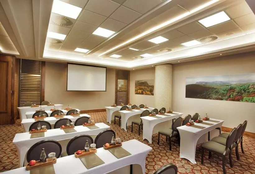 Fotos del hotel Sandton Sun:  9