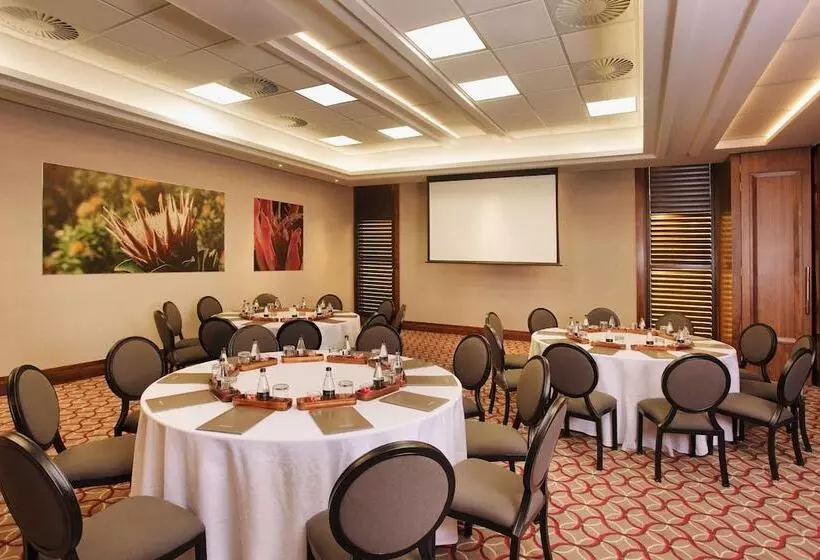 Fotos del hotel Sandton Sun:  11