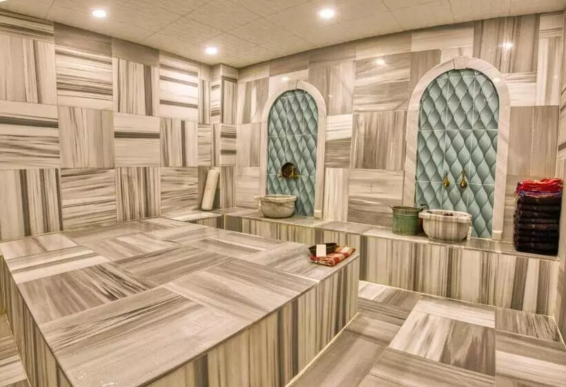 Fotos del hotel Sirkeci Ersu  & Spa:  4