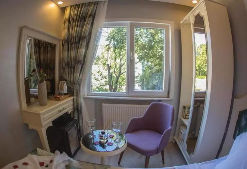 Fotos del hotel Sirkeci Ersu  & Spa:  11