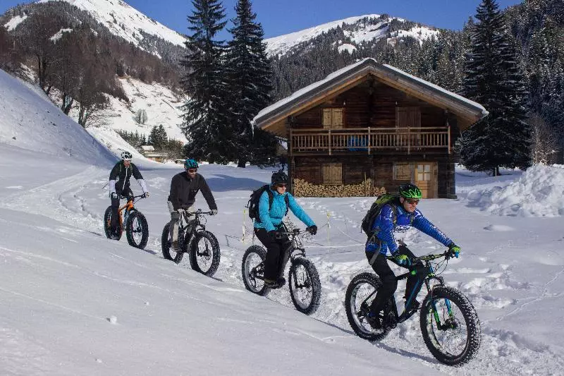 Fotos del hotel Hotel L Arboisie, Megeve****:  25