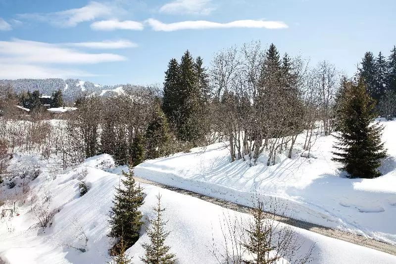 Fotos del hotel Hotel L Arboisie, Megeve****:  9
