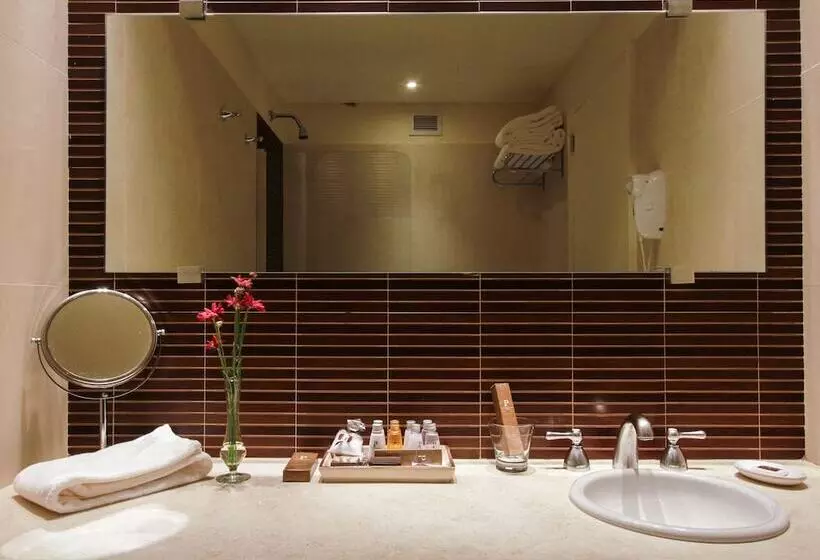 Fotos del hotel Panoramic Grand - Iguazú:  9