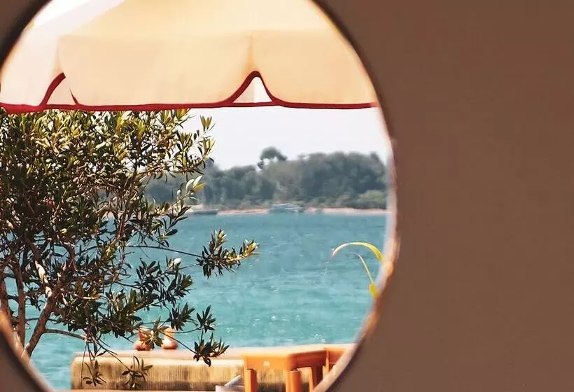 Fotos del hotel Verlaine:  4