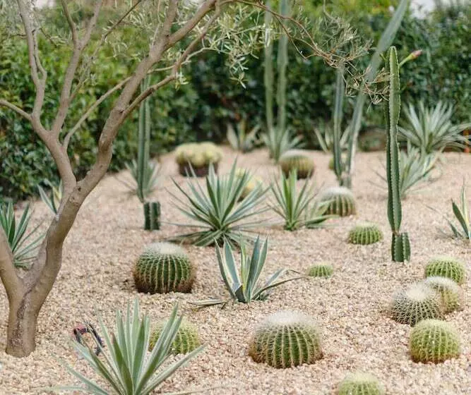 Fotos del hotel Verlaine:  3