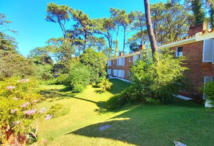 Fotos del hotel Nobile Inn Punta Del Este:  6