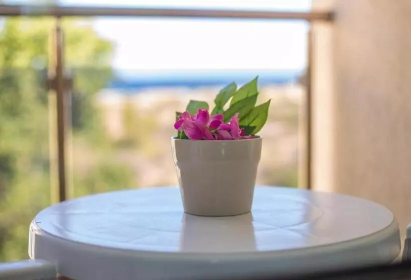 Fotos del hotel Amfibia Beach Complex:  20