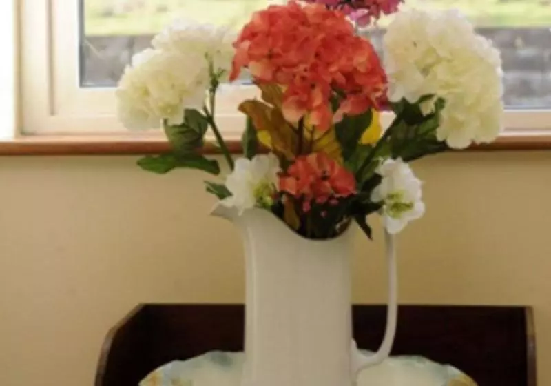 Fotos del hotel Countess House:  8