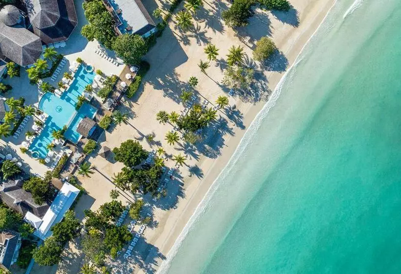 Fotos del hotel Couples Negril:  13