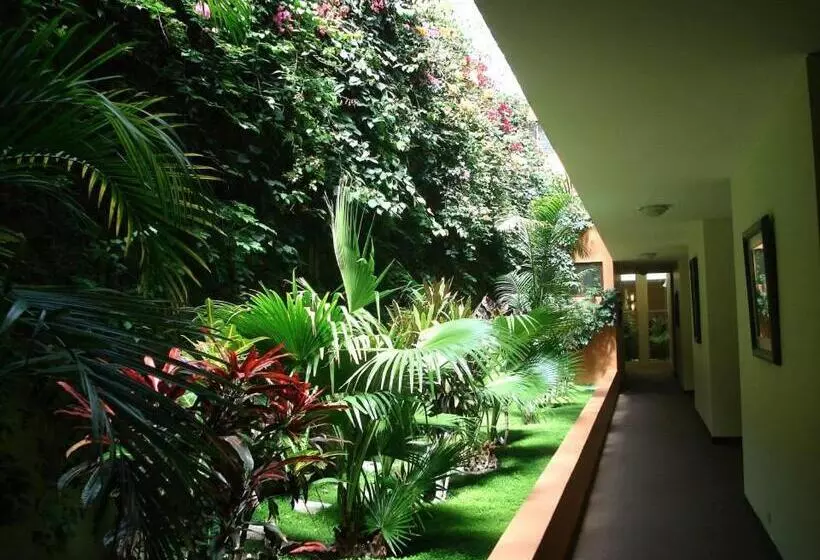 Fotos del hotel Meliana:  24