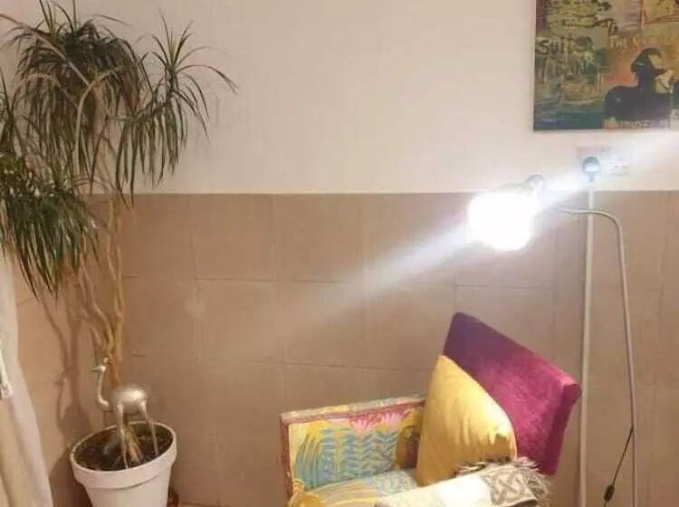 Fotos del hotel Bayview Bed And Breakfast:  25