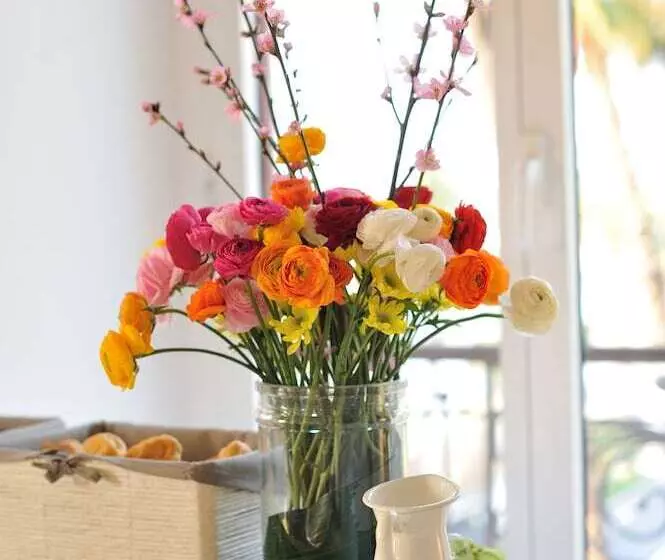 Fotos del hotel Lolli Palace  Sanremo:  13