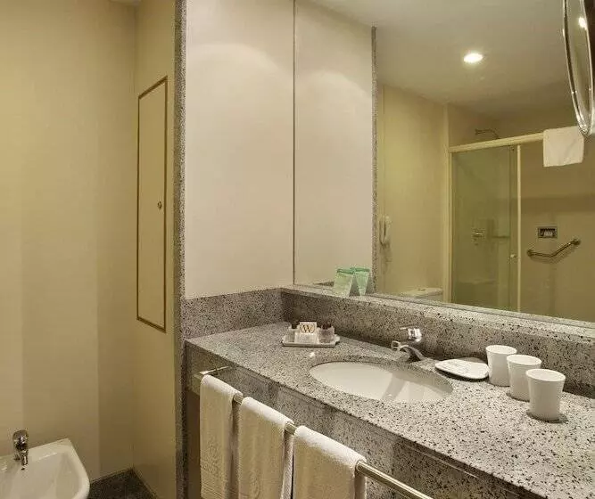 Fotos del hotel Windsor Astúrias:  8