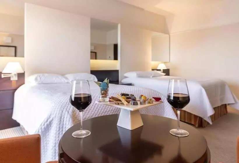 Fotos del hotel Enjoy Punta Del Este:  21