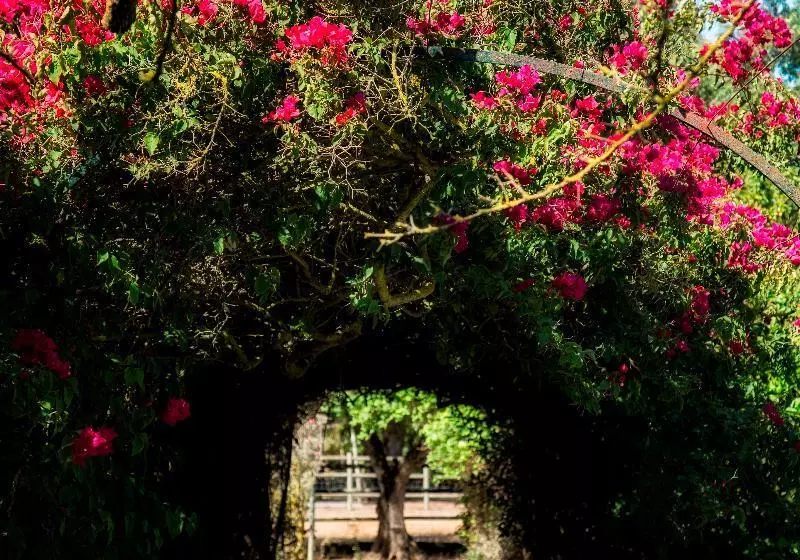 Fotos del hotel Quinta Da Praia Das Fontes:  6