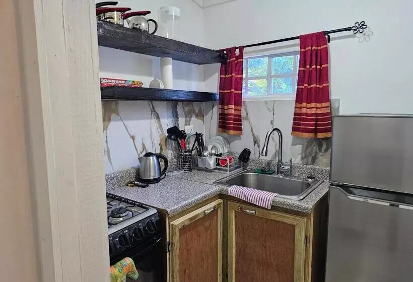 Fotos del hotel Rooms On The Beach Negril:  17