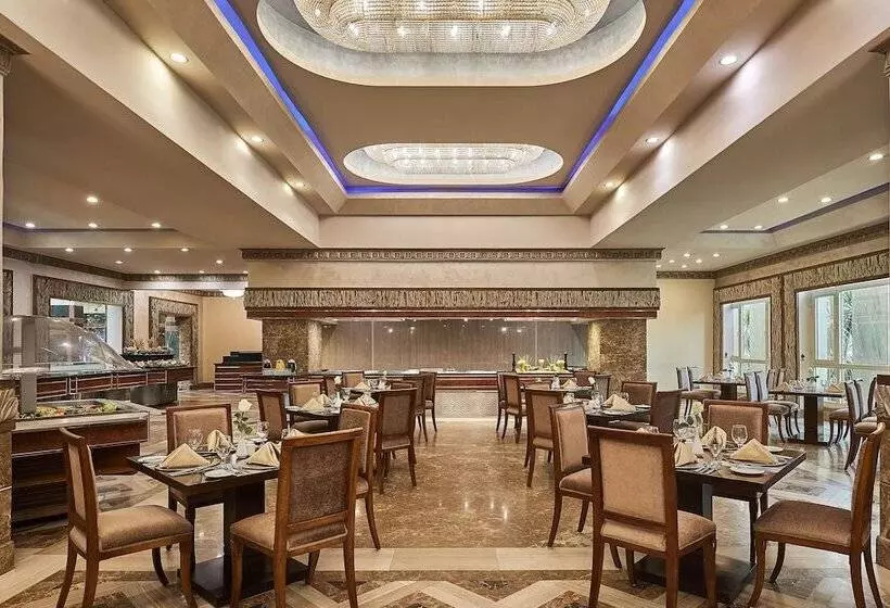 Fotos del hotel Triumph Plaza:  21