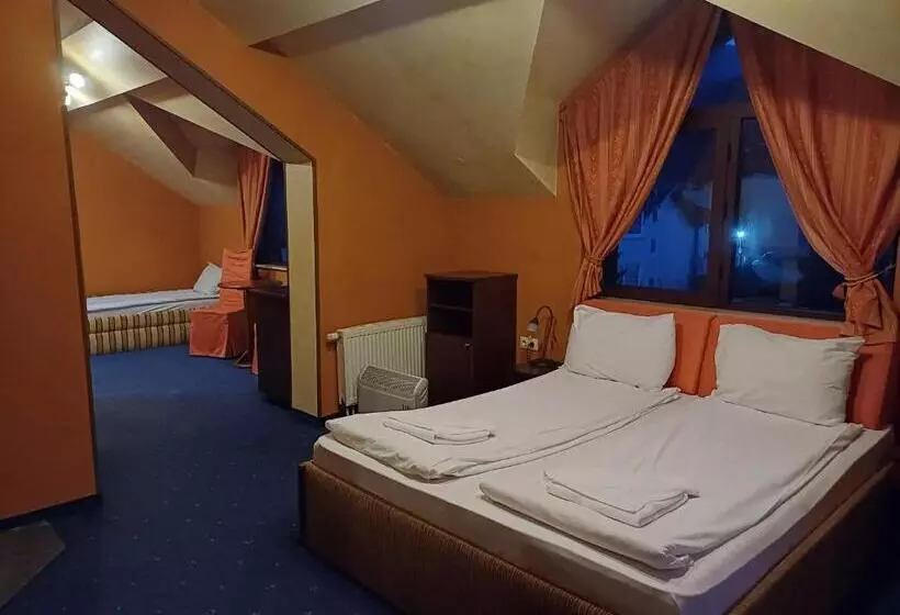 Fotos del hotel Hotel Friends:  20