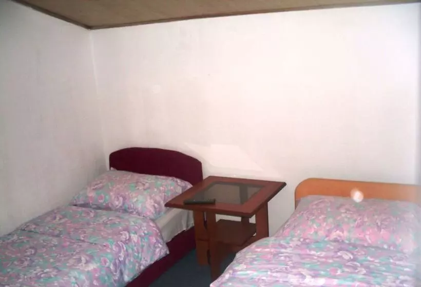 Fotos del hotel Hostel Gonzo:  8