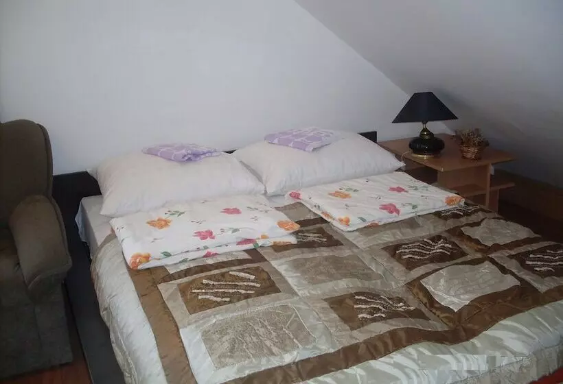 Fotos del hotel Hostel Gonzo:  23