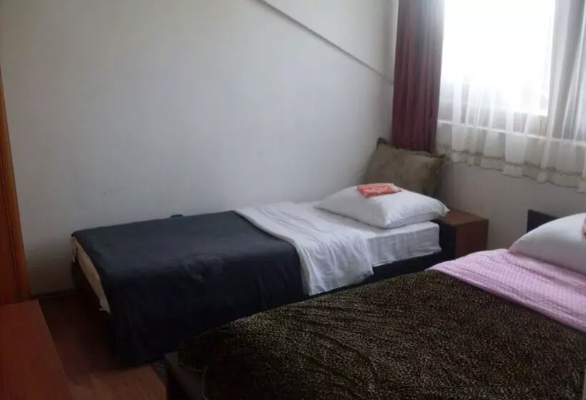 Fotos del hotel Hostel Gonzo:  5