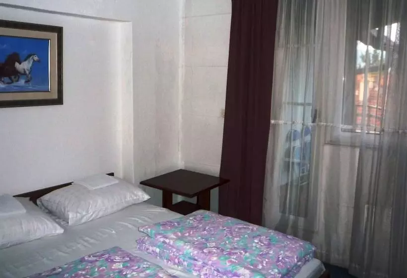 Fotos del hotel Hostel Gonzo:  10