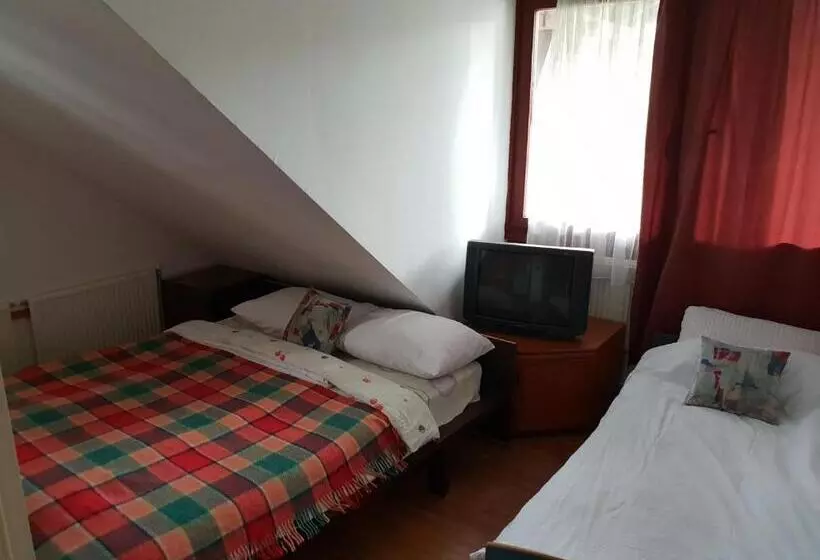 Fotos del hotel Hostel Gonzo:  12