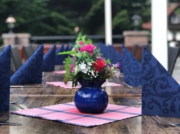 Fotos del hotel Resort Martin & Kristyna:  11