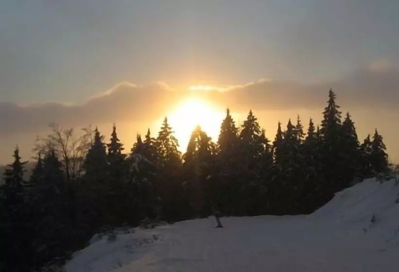 Fotos del hotel Resort Martin & Kristyna:  13