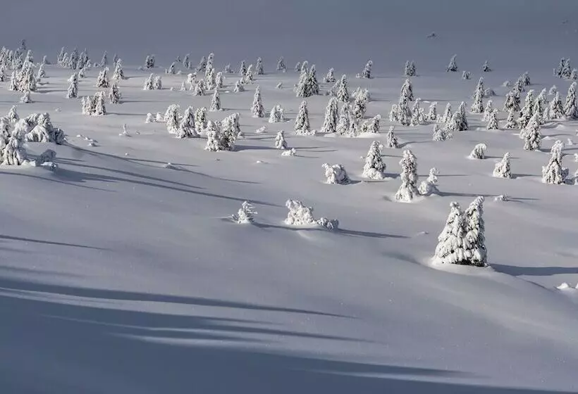 Fotos del hotel Resort Martin & Kristyna:  20