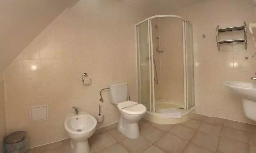 Fotos del hotel Wellness  Harrachovka:  24