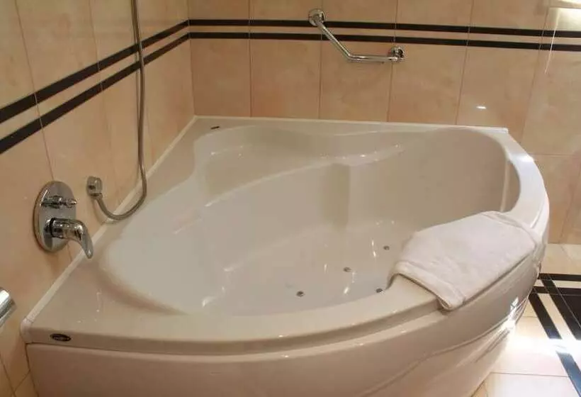 Fotos del hotel Wellness  Harrachovka:  25