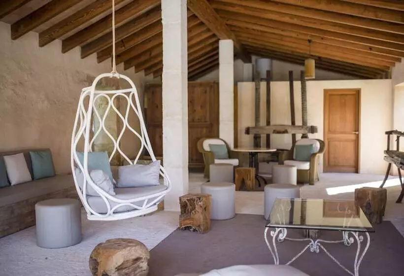 Fotos del hotel Ca'n Bonico:  8