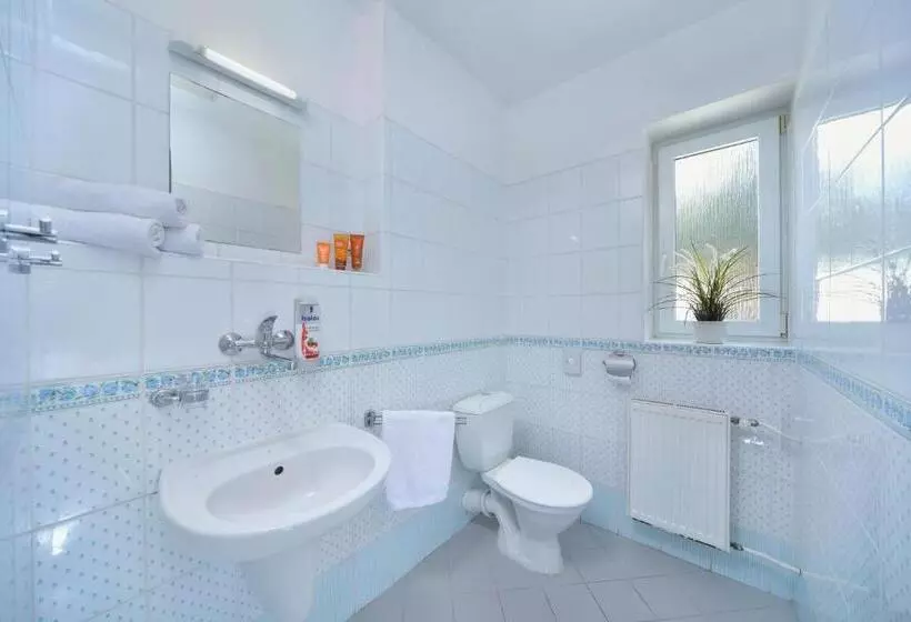 Fotos del hotel Lenka:  6