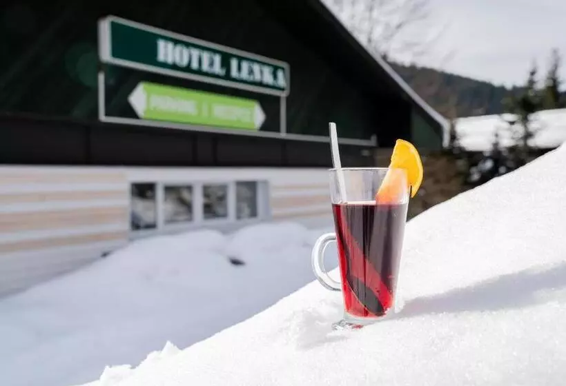 Fotos del hotel Lenka:  18