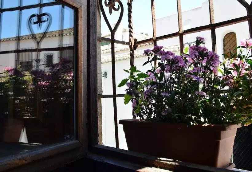 Fotos del hotel Santa Isabel La Real:  21