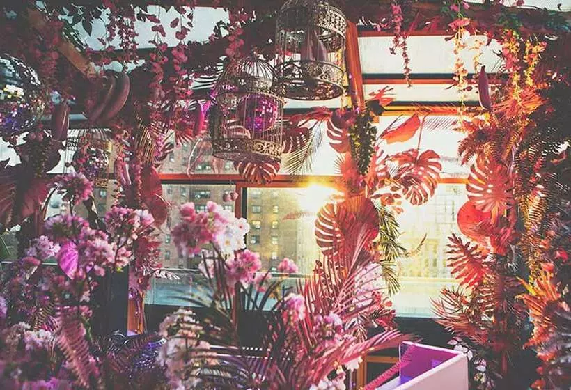 Fotos del hotel Sixty Les:  5